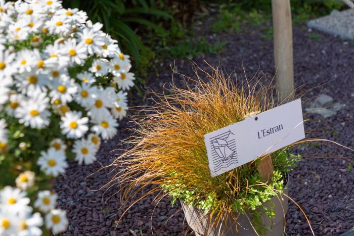 les maisons de la metairie du vauhariot