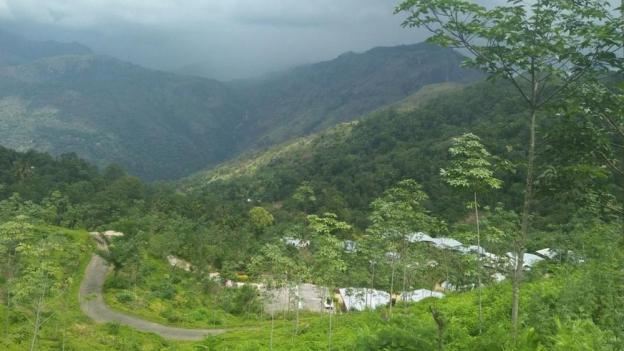 ella water fall resort