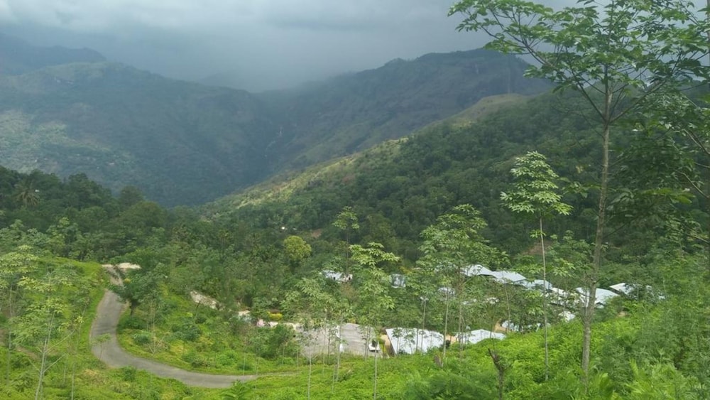 ella water fall resort