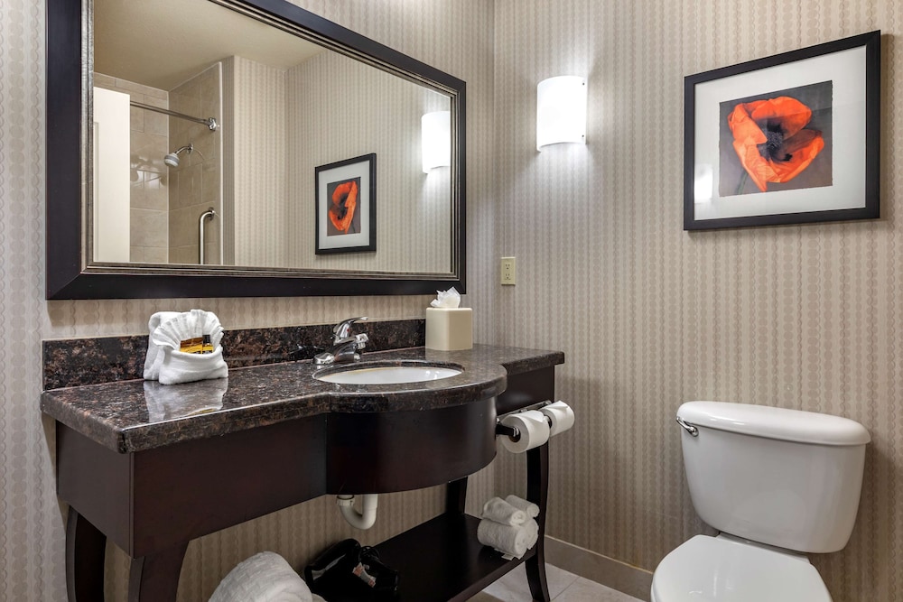 best western plus dfw airport west euless