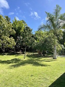 Dawsons Hideaway,Nassau>>Bahamas,0 star