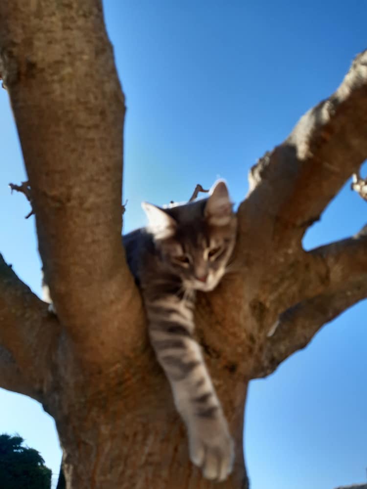 mas dansavan chambres dhotes