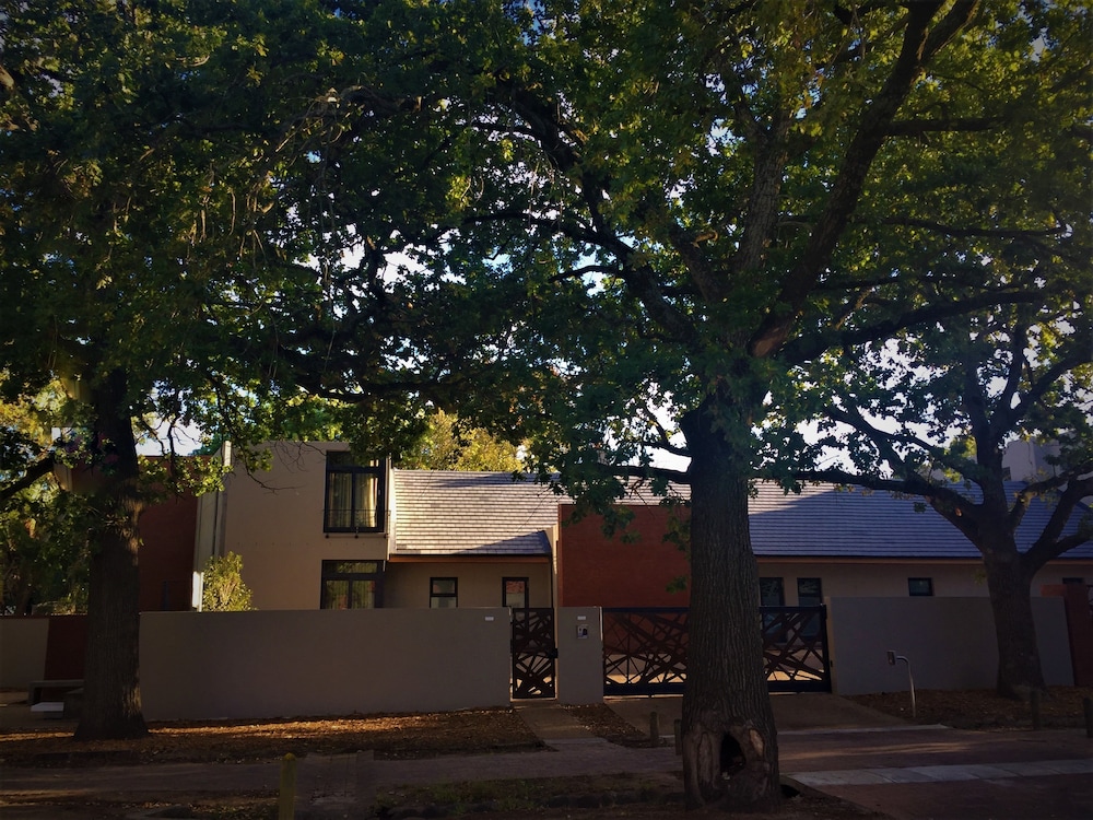 stellenbosch