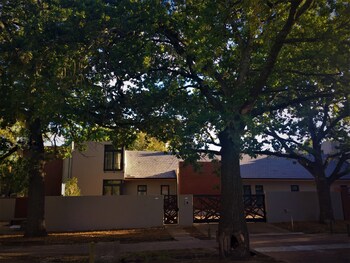 stellenbosch