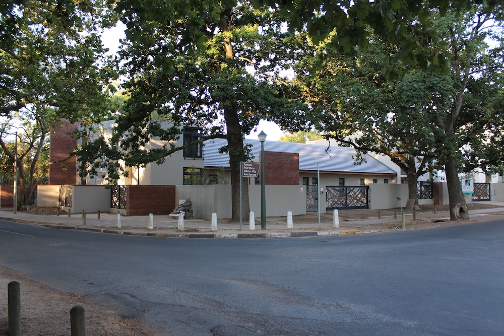 stellenbosch