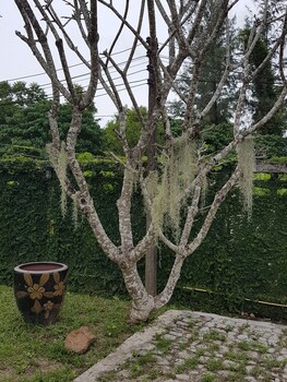 baan chai lay apartment