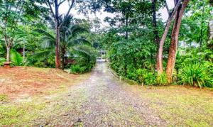 san rafael ecolodge