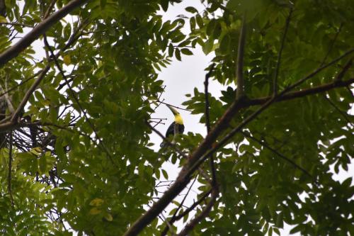 san rafael ecolodge