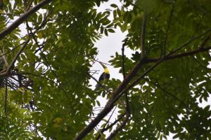 san rafael ecolodge