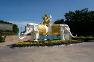 city inn splendid china branch