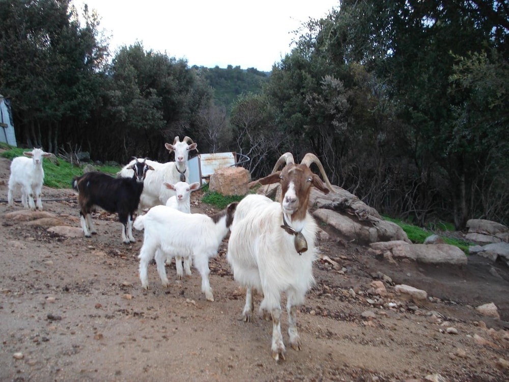 villagrande strisaili