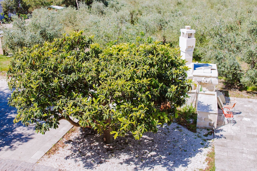 agriturismo biologico piccapane