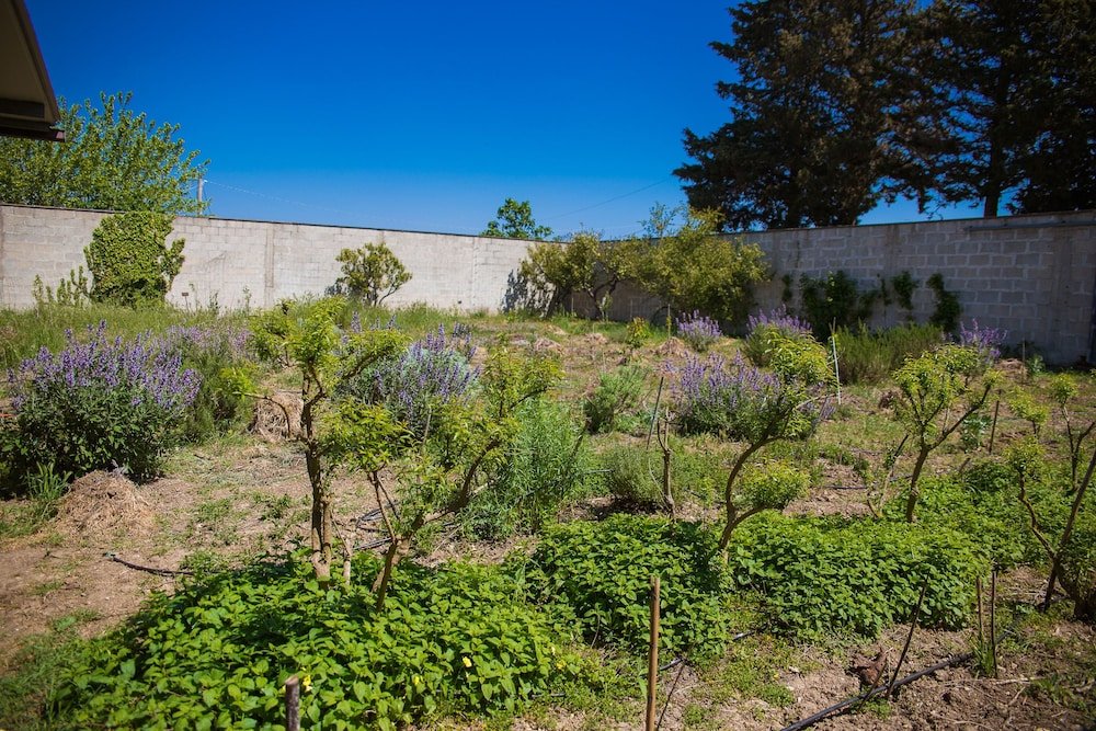 agriturismo biologico piccapane