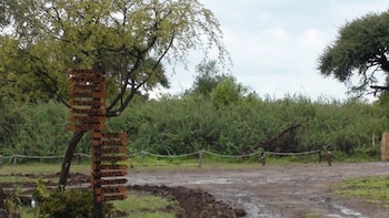 Matsaodi Campsite,Central>>Rakops,1 star