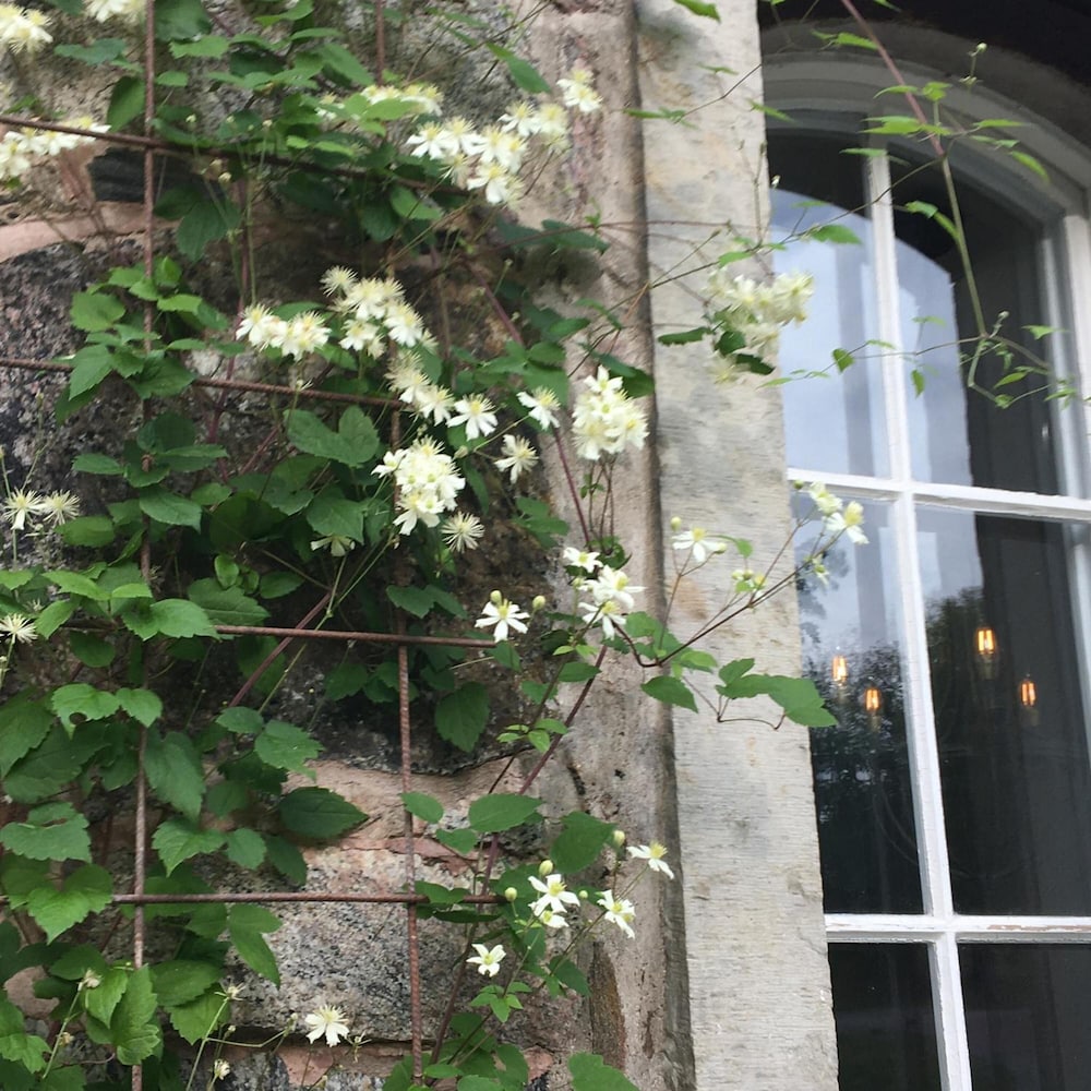 kungskvarnen borgvik