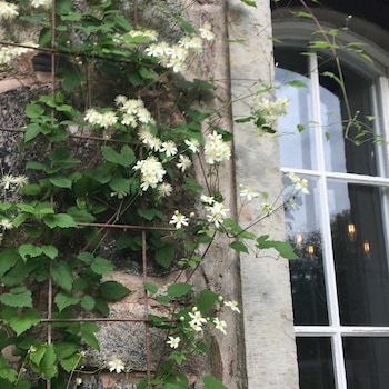 kungskvarnen borgvik