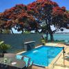 auckland