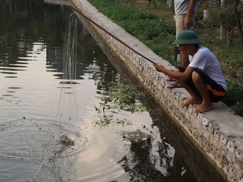ninh binh riverside homestay 2