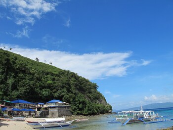 scandinavian divers inc