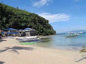 scandinavian divers inc