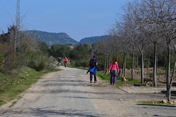 montellano