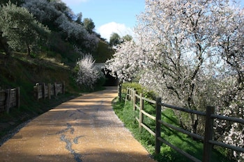 montellano