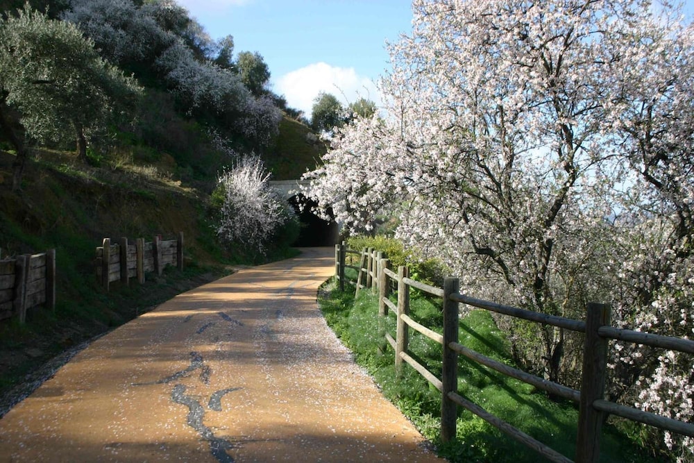 montellano