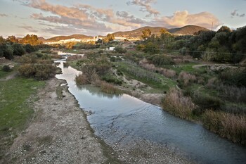 montellano