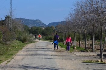 montellano