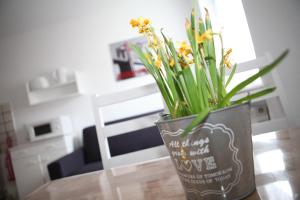 bermuda apartment bochum city