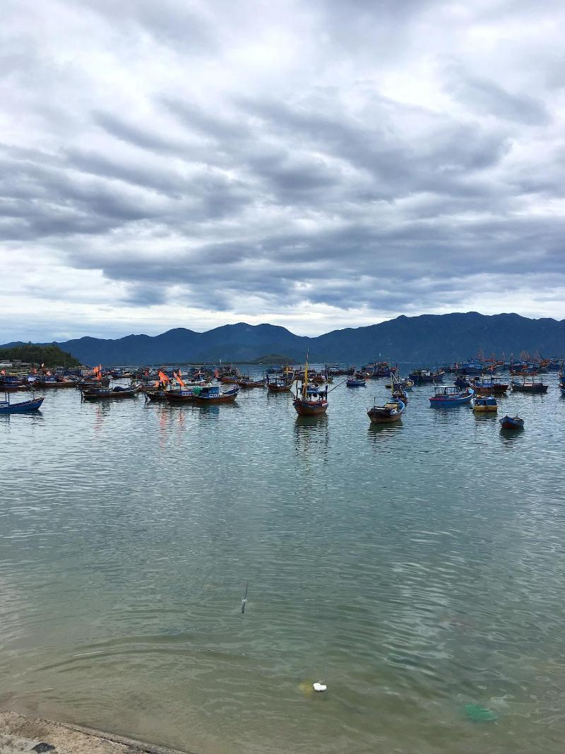 seaview front apartment