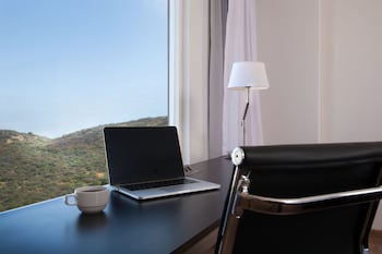 fiesta inn poza rica