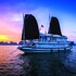 gray line private luxury cruise