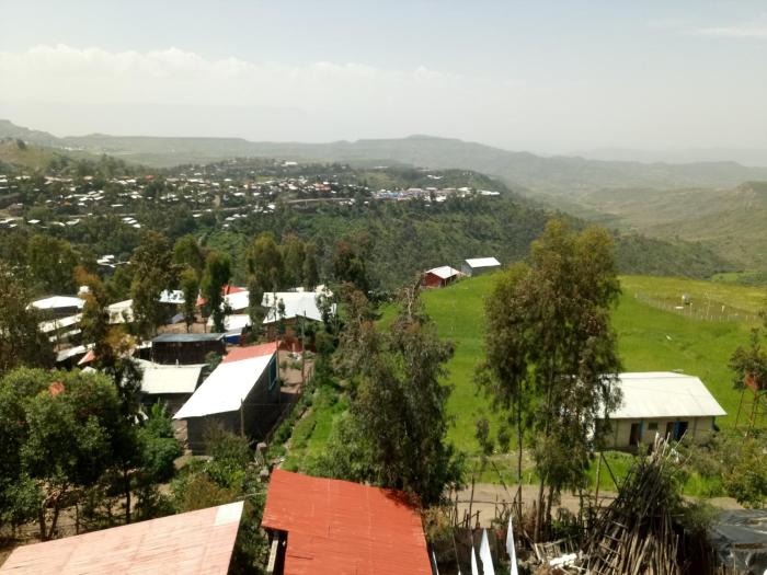honey land hotel