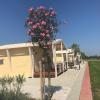 vento etrusco camping