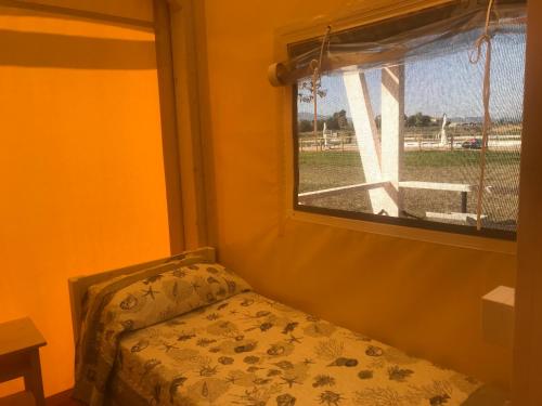 vento etrusco camping