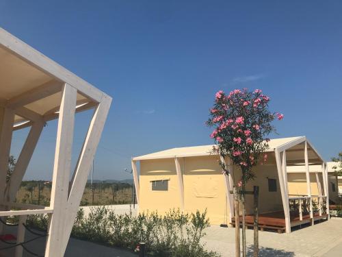 vento etrusco camping