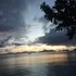 el nido