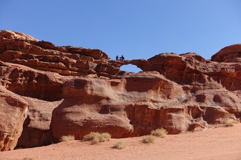 wadi rum protected area camp