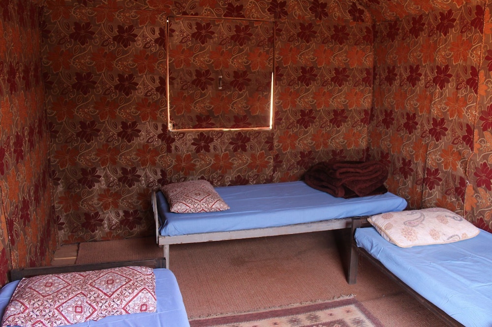 wadi rum protected area camp