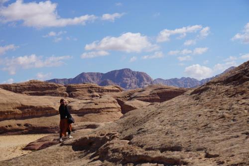 wadi rum protected area camp