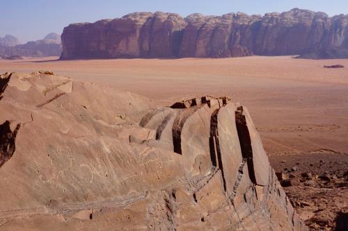 wadi rum protected area camp