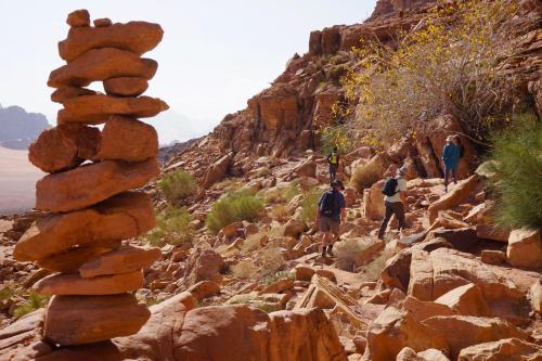 wadi rum protected area camp