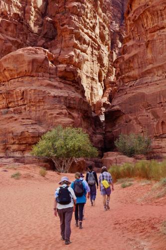 wadi rum protected area camp