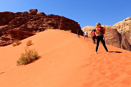 wadi rum protected area camp