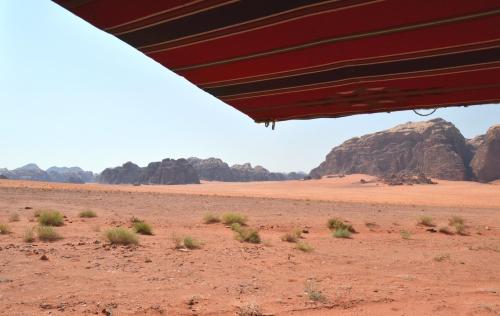 wadi rum protected area camp