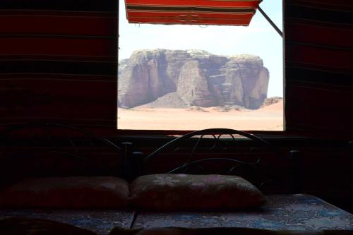 wadi rum protected area camp