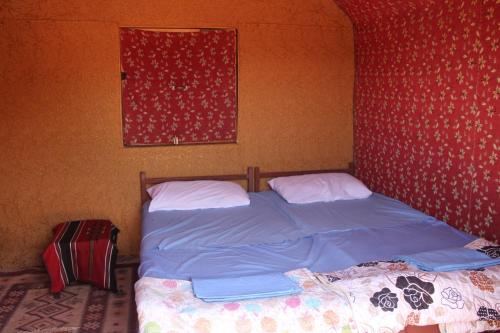 wadi rum protected area camp