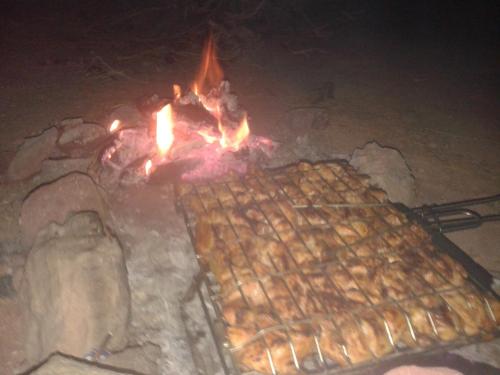 wadi rum protected area camp