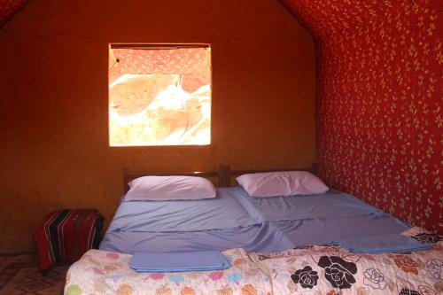 wadi rum protected area camp